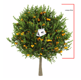 Citrus leafminer - IT203 - ISCA Technologies
 - 2