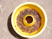 ISCA Ball Trap (BTR) - ISCA Technologies
 - 5
